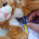 Image for article titled If You Can't Buy It, Build It: Wanky The Safety Cat